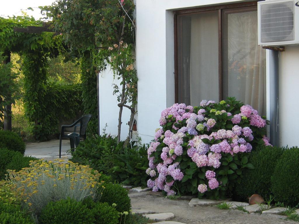 South Beach Villa Sinemoretz Exterior photo